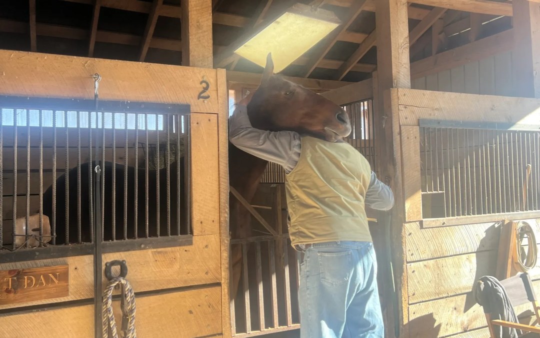 Pennsylvania Warhorse open house connects first responders, horses